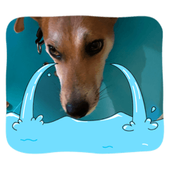 torajiro_20251221042506