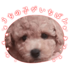 haruka_20251221052553