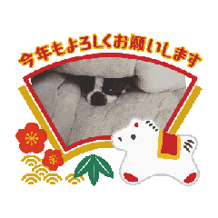 doteとjajaの2026あけおめちゃん - LINE スタンプ | LINE STORE