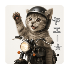 ainyan_20251219162503