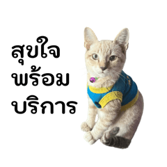 CEO chom_20251220214743