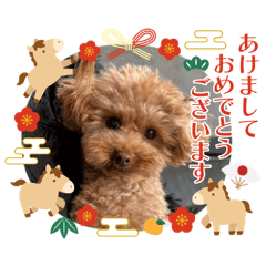 mamiko_20251221130741