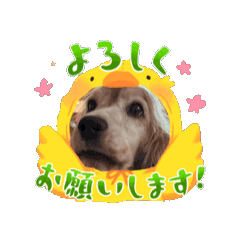 Erina_20251221120818