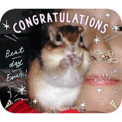 AICHAN_20251221132659