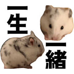 bleeu1999_20251219161311