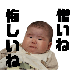 momoko_20251219183020