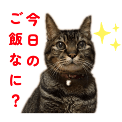 furin_20251221135452