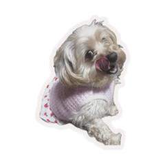 momotarou_20251221135550