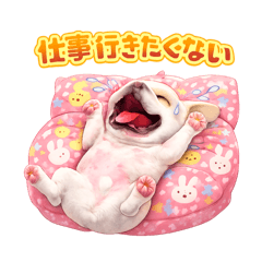 CREAM_20251219191353