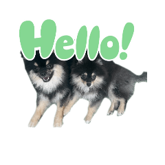 bruno_20251221120346