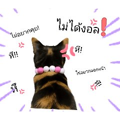 Mind Mind_20251221112743