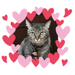 Charm_20251221121352