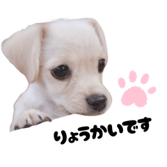 yuka_20251221151351