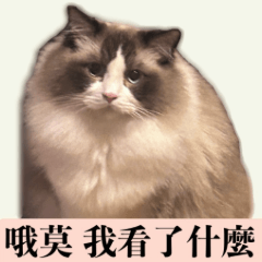 櫻桃小公主x棉花糖小王子