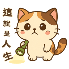 這隻花貓很有事．日常情緒