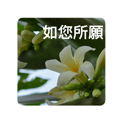 如是我聞 I