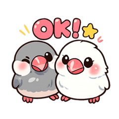 快樂鳥-白白與灰灰1