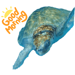 Happy friends make you feel better