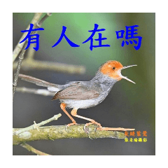 pasear_20251217222944