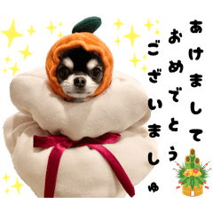 yopico_20251218101201