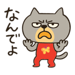 noa gardan_20251218102853