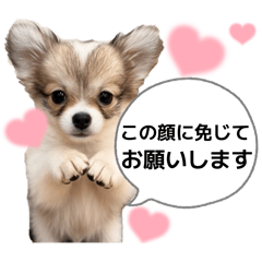 可爱的小狗贴纸日文版1