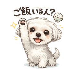 erinari_20251218224824