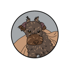 moyageni_20251218235605