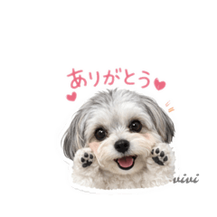 akumi_20251219001307