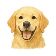 Cozy Golden Retriever Reactions