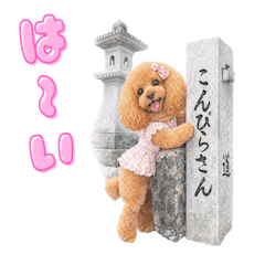 プリンセスTIARAのふわかわ物語♡