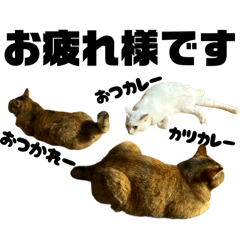 NyanTT_20251221153516