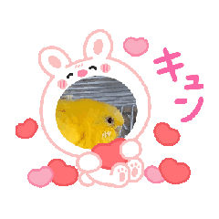 TOMOKO_20251221154641