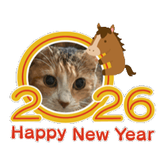 harumi-tubucoffee_20251221162238