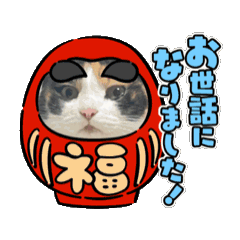 Yukachin_20251221160743