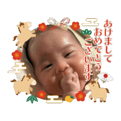 pollyflower_20251221165915