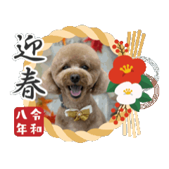 ppppppi_20251221183646