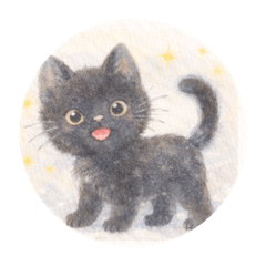 hima-na_20251219111919