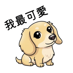 我家寵物系列-臘腸果果