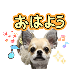 SHIHO_20251221160711