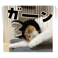 eriko_20251221160339