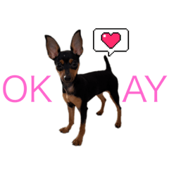 Peruru_20251221170945