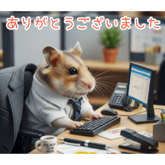 PAKAMOGOLY_20251221210210