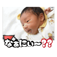 Koto_20251221223246