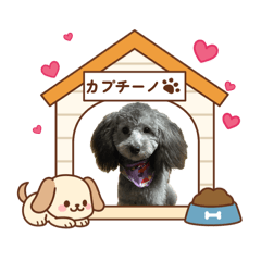 chikane_20251221210415