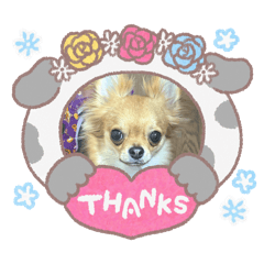 mocha_2025122117560a