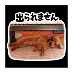 Mamin_20251221175454