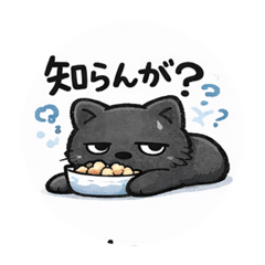 pento_20251221161045