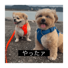 MukuDon_20251221160906