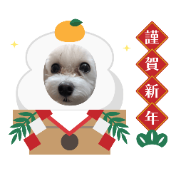 umetama_20251221162153